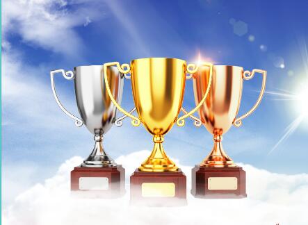 �ɹ�����