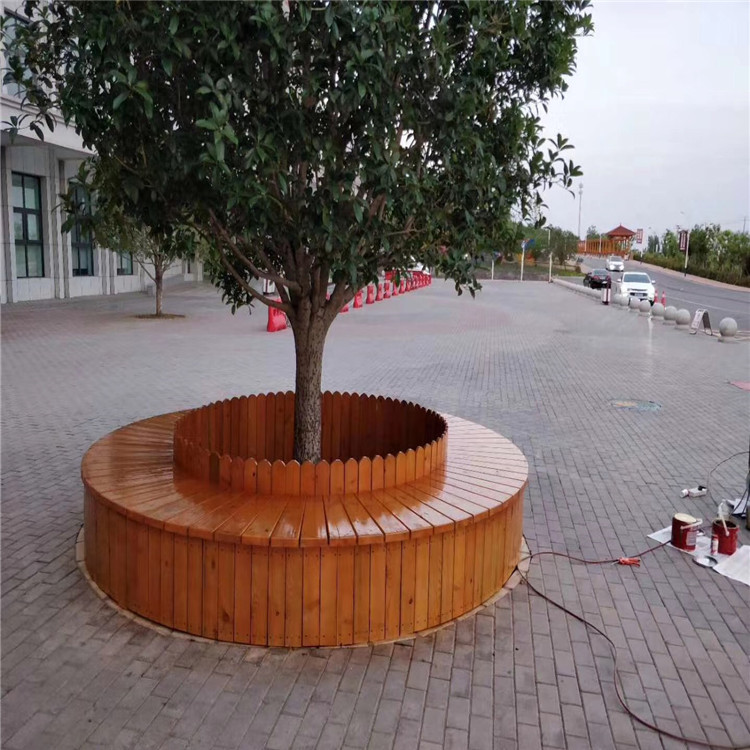 ����ľ����